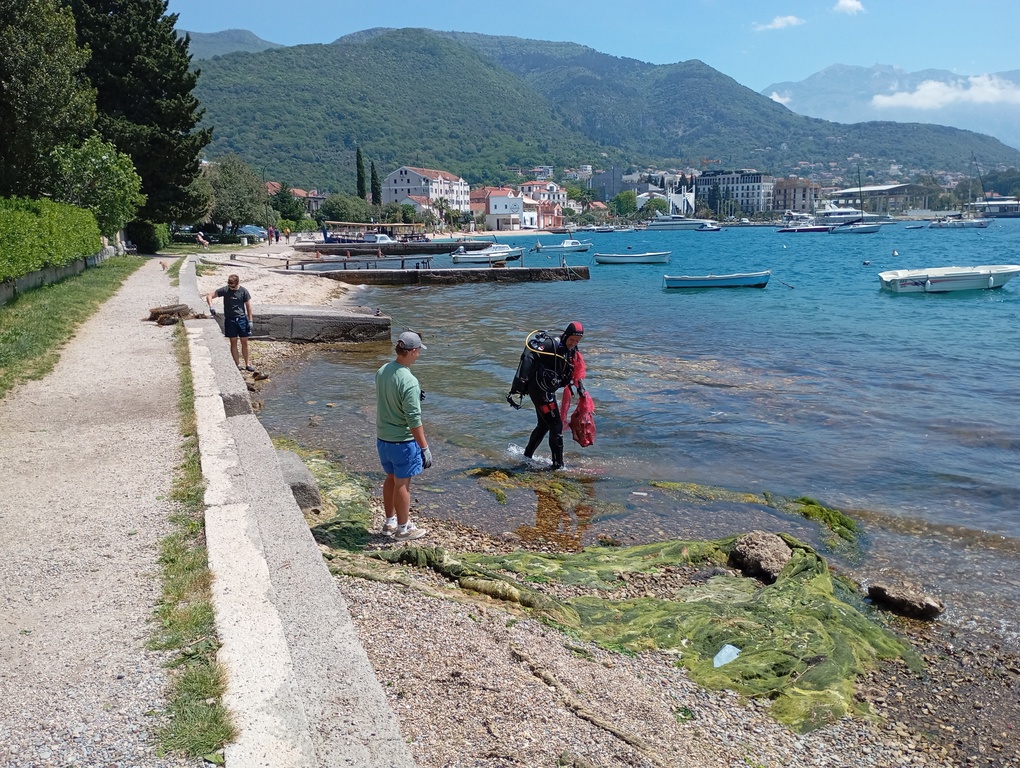 newest-news-post-image